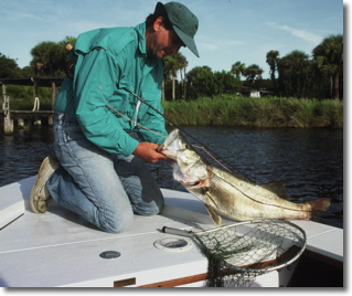 Fly casting to snook